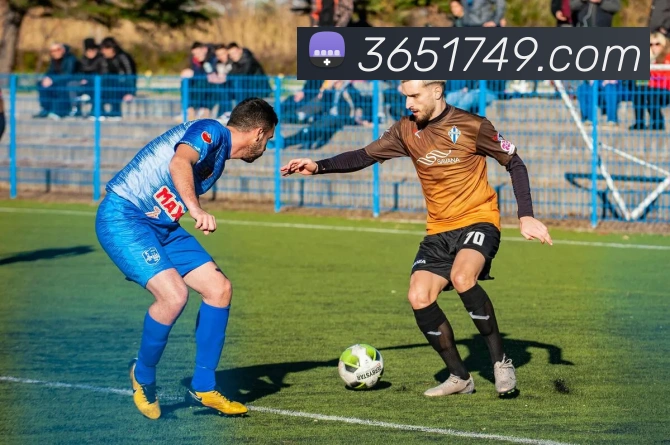 bet365APP 体育赛事宣传图